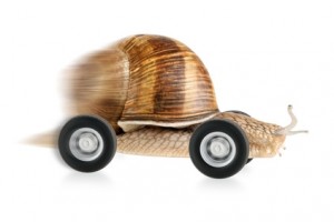 Fotolia_25050710_XS