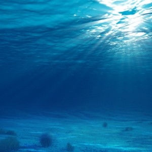 Unter Wasser